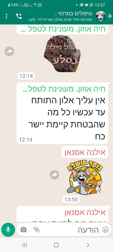 WhatsApp Image 2023-07-19 at 09.36.29 (2)